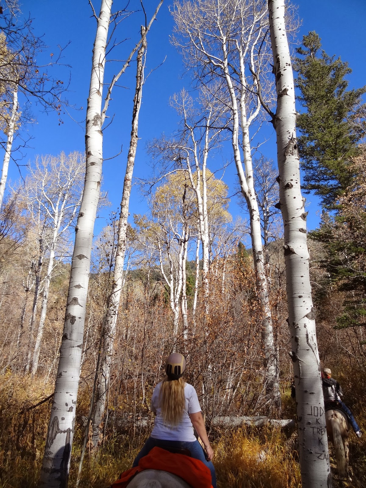 Dream Packer Trail Adventures Green Canyon, Cache Valley, Utah