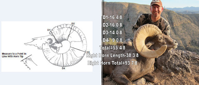 right+horn+total+with+text.jpg