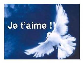 JE T'AIME!