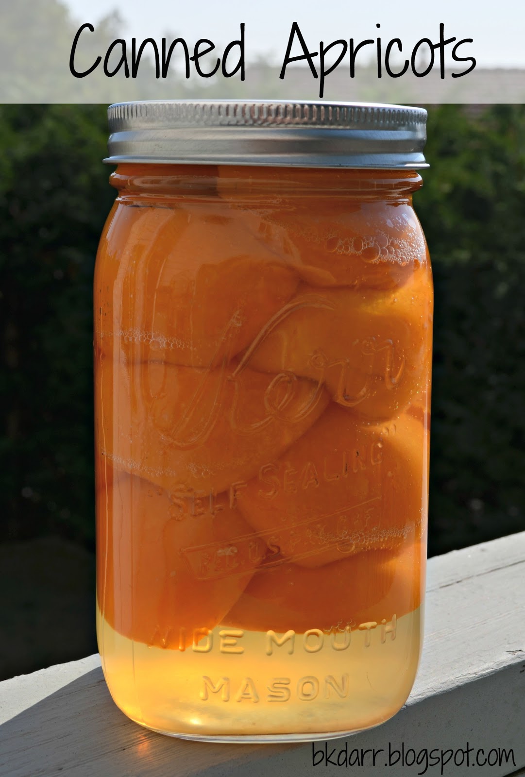 Canning Apricots Simply {Darr}ling