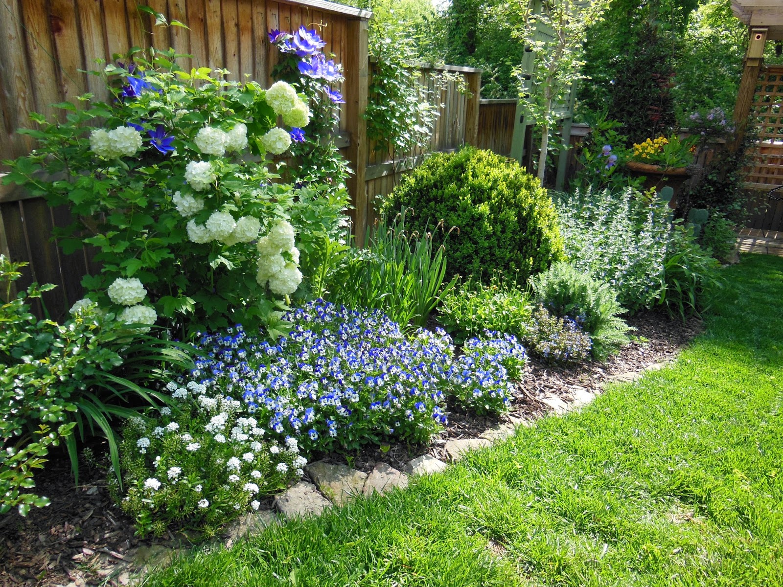 LAVENDER BLUE GARDEN DESIGN IRISH COTTAGE GARDEN
