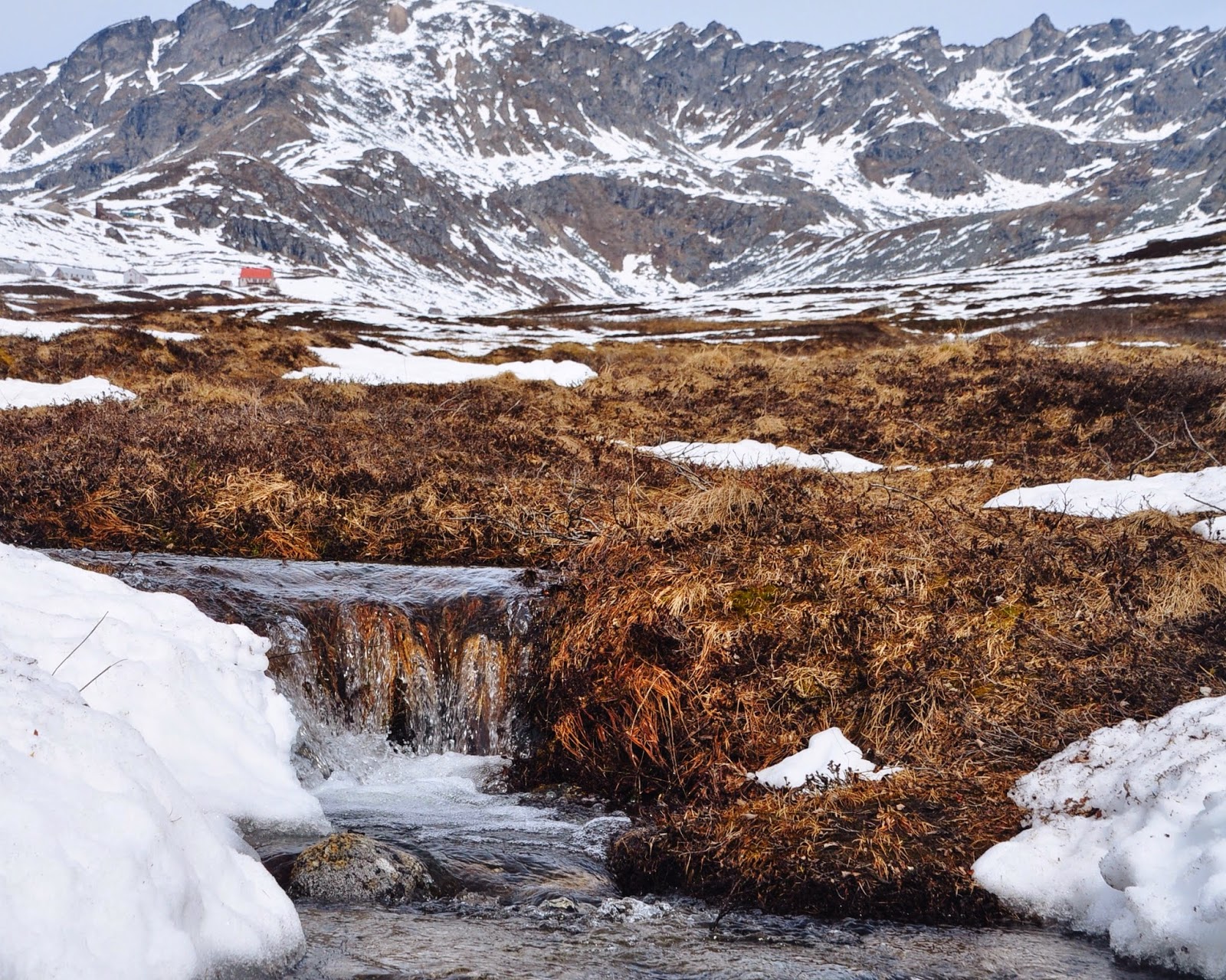 Heart Alaska Hatcher Pass Area