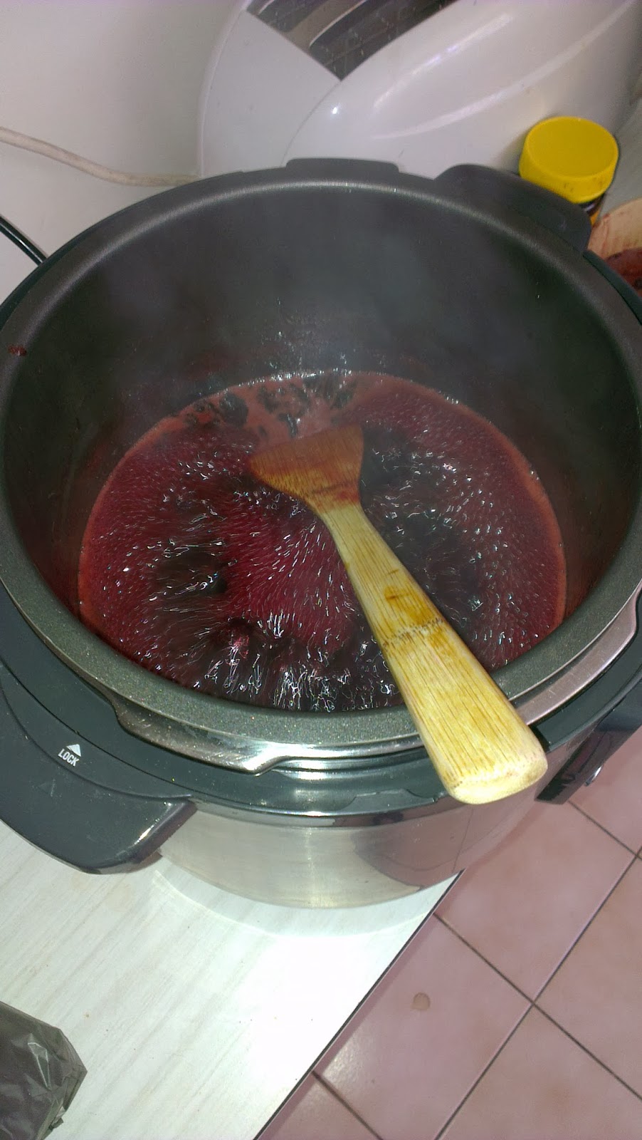 A (parttime) Lady of Leisure Home Made Bread Machine Jam