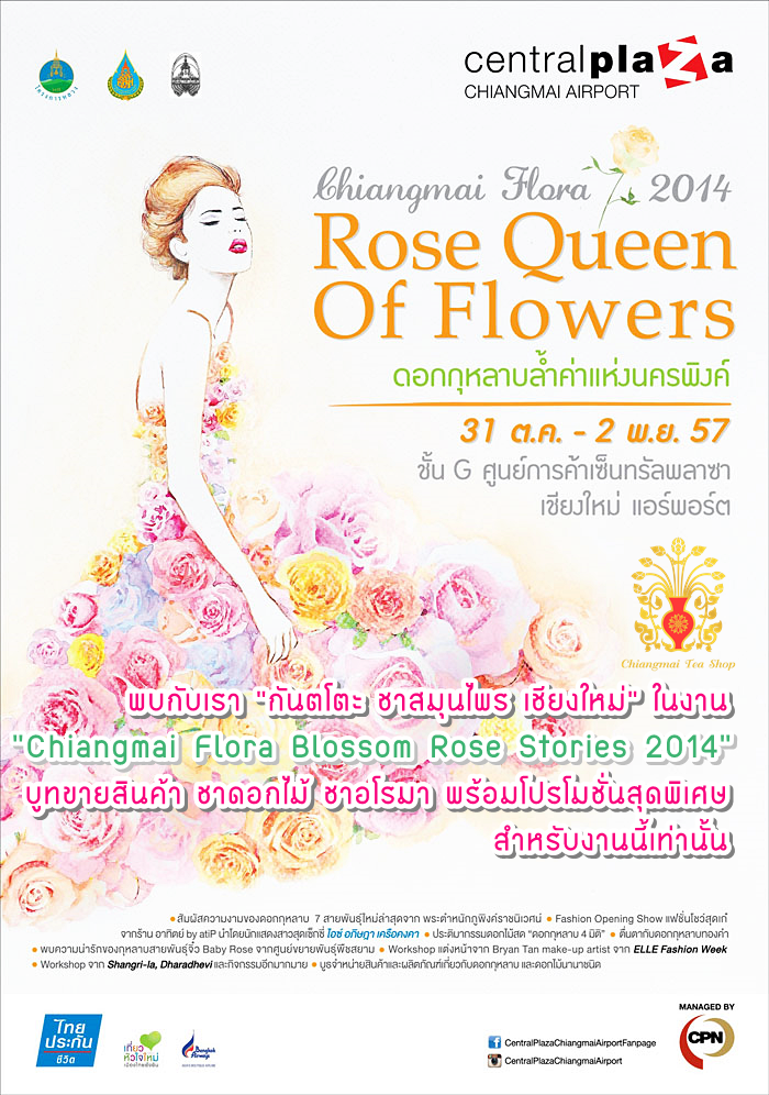 Ҵ͡  Chiangmai Flora Blossom Rose Stories 2014