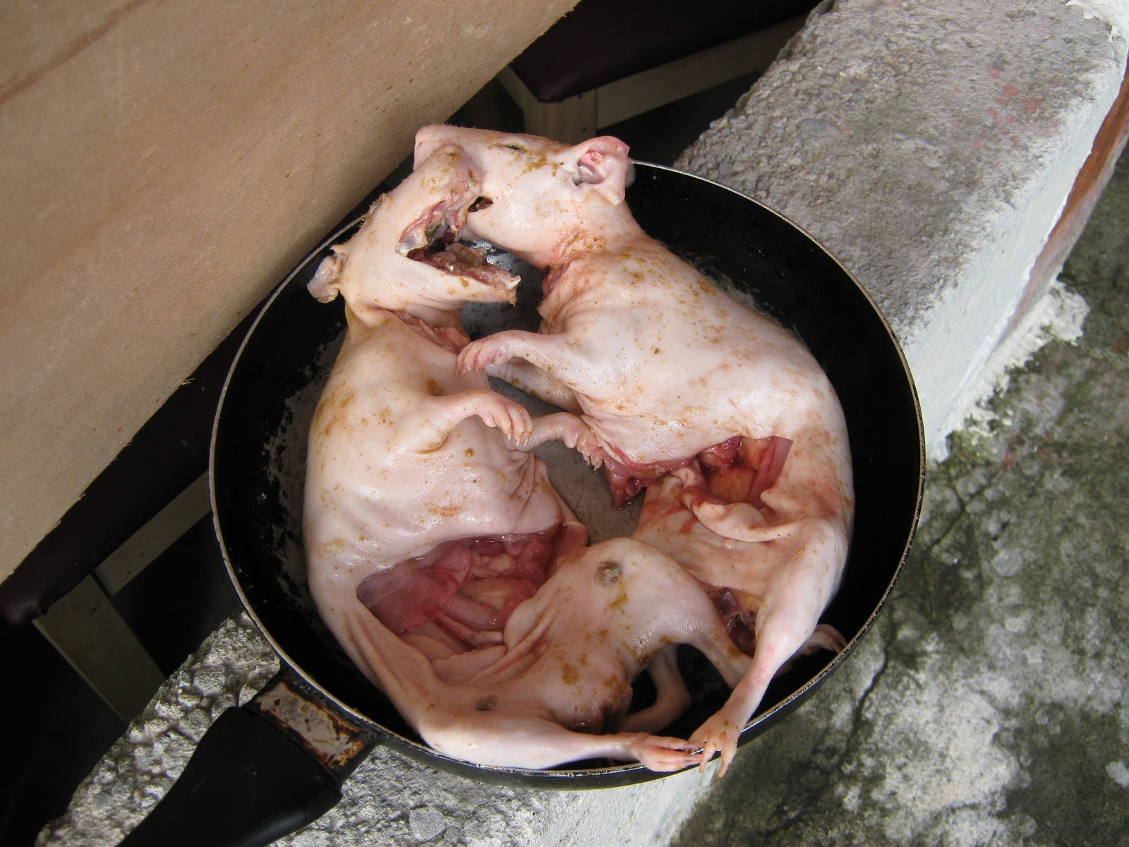 Krustenbraten In Burgunder Sauce Mit Klossen Und Spargel Nudelheissundhos