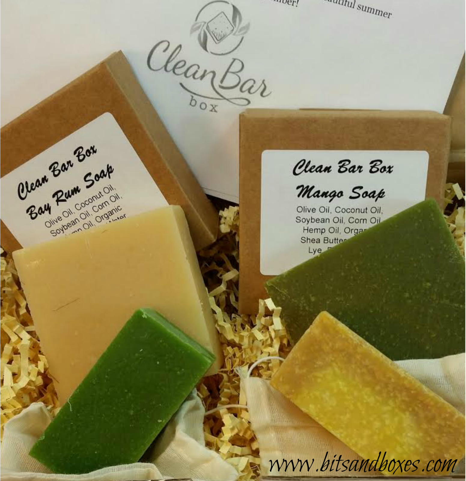 Clean Bar Box August 2015 Soap Box Review and Coupon Code Bits and Boxes