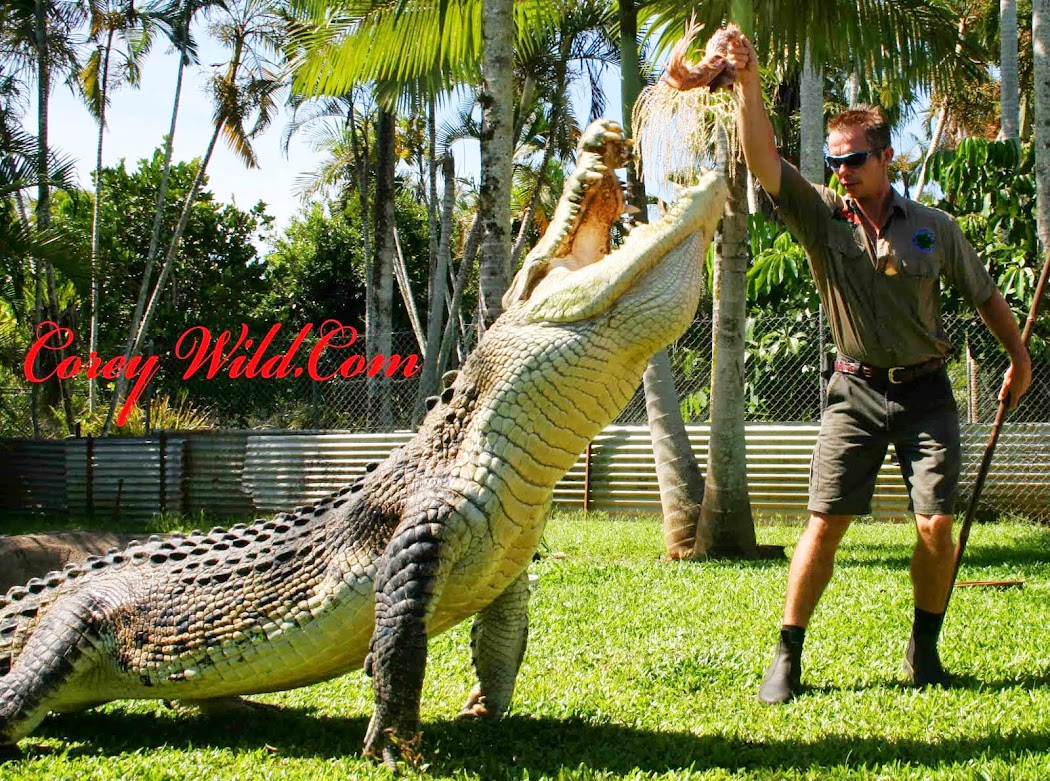 Corey Wild Wildlife Adventurer/Conservationist