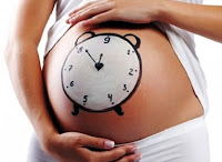 определение срока беременности