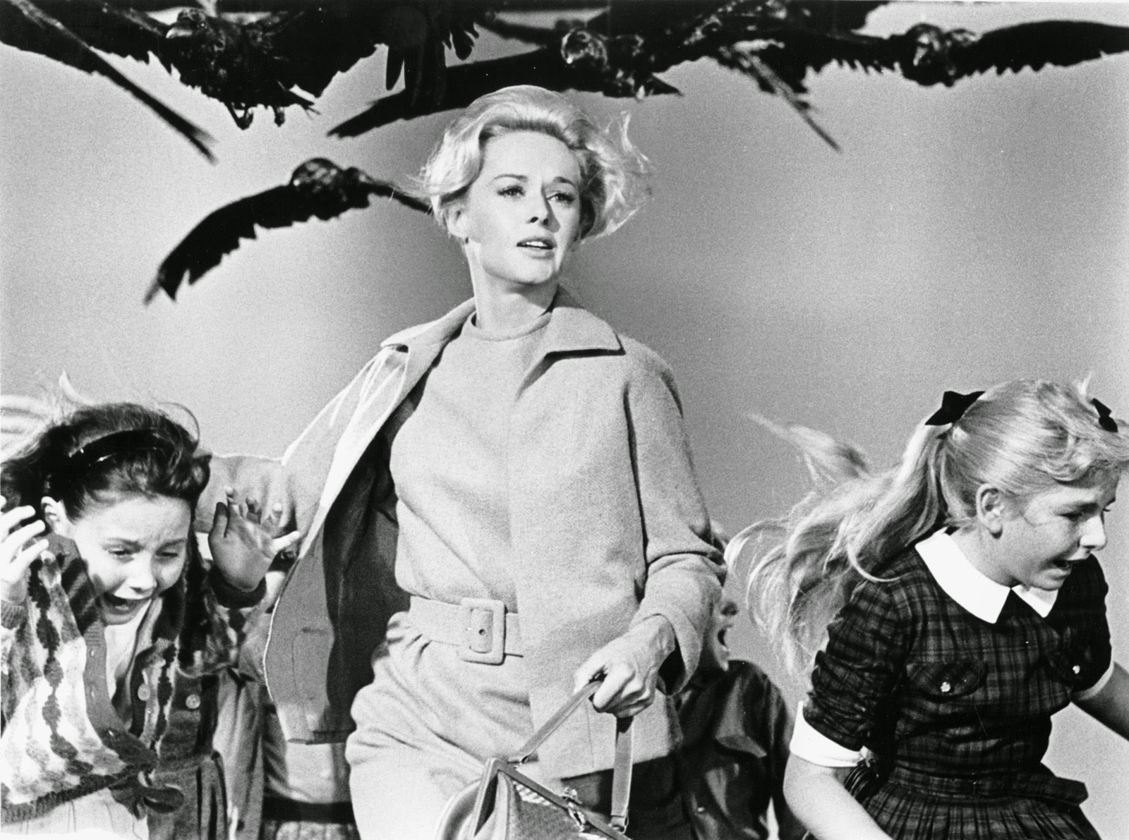 Cinemaphile The Birds 1 2 1963