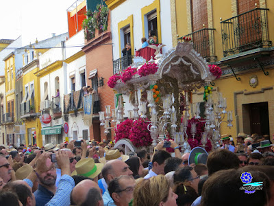 Hermandad del Rocío de Triana - Rocío 2015 Hermandad del Rocío de Triana - Rocío 2015