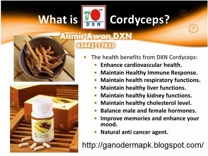 DXN Cordyceps Tablets DXN Pakistan