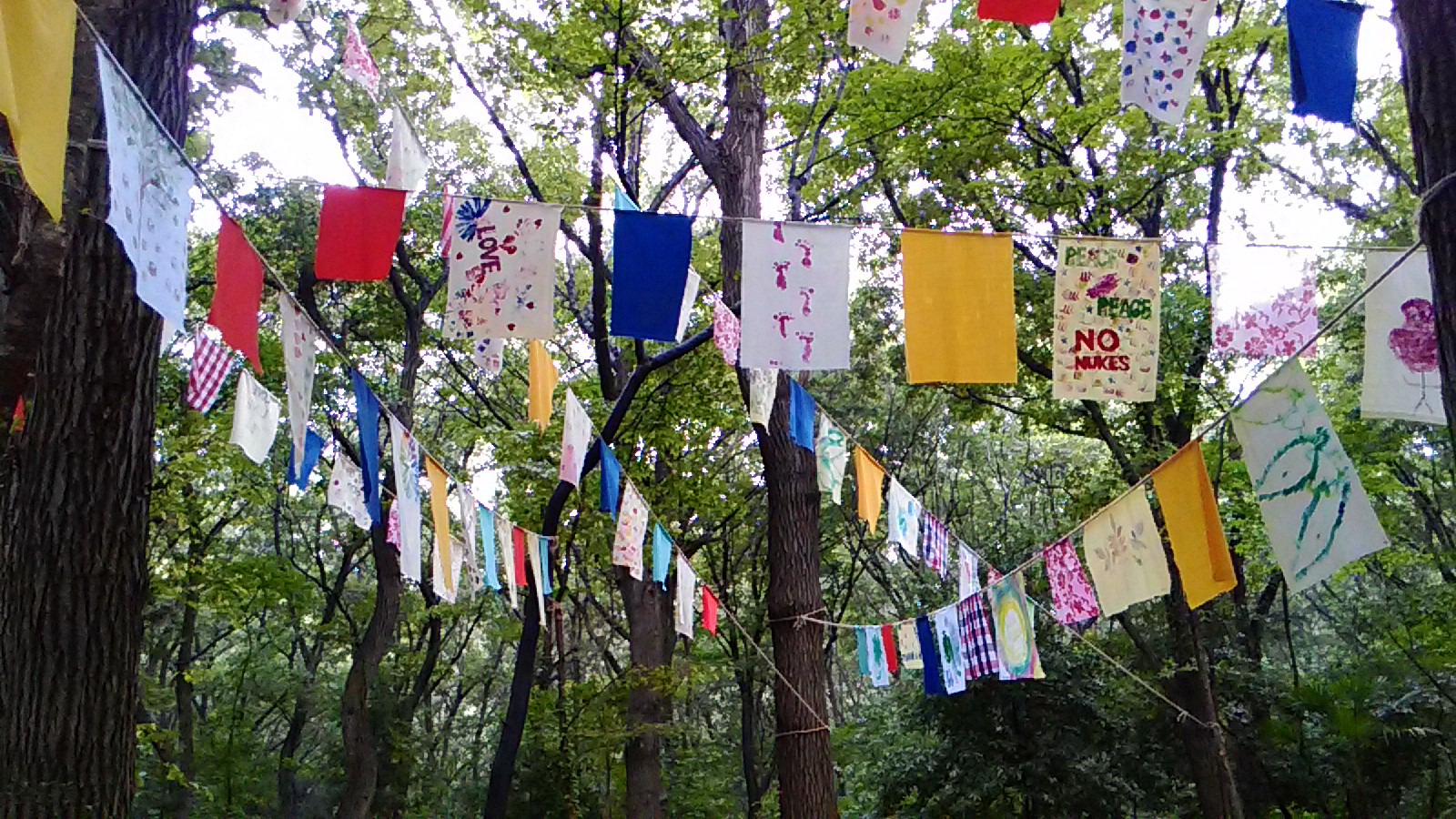 Adventure In Yokohama Citizen Forest Rain Forest Laboratory Of The Forest 15 横浜の森美術展