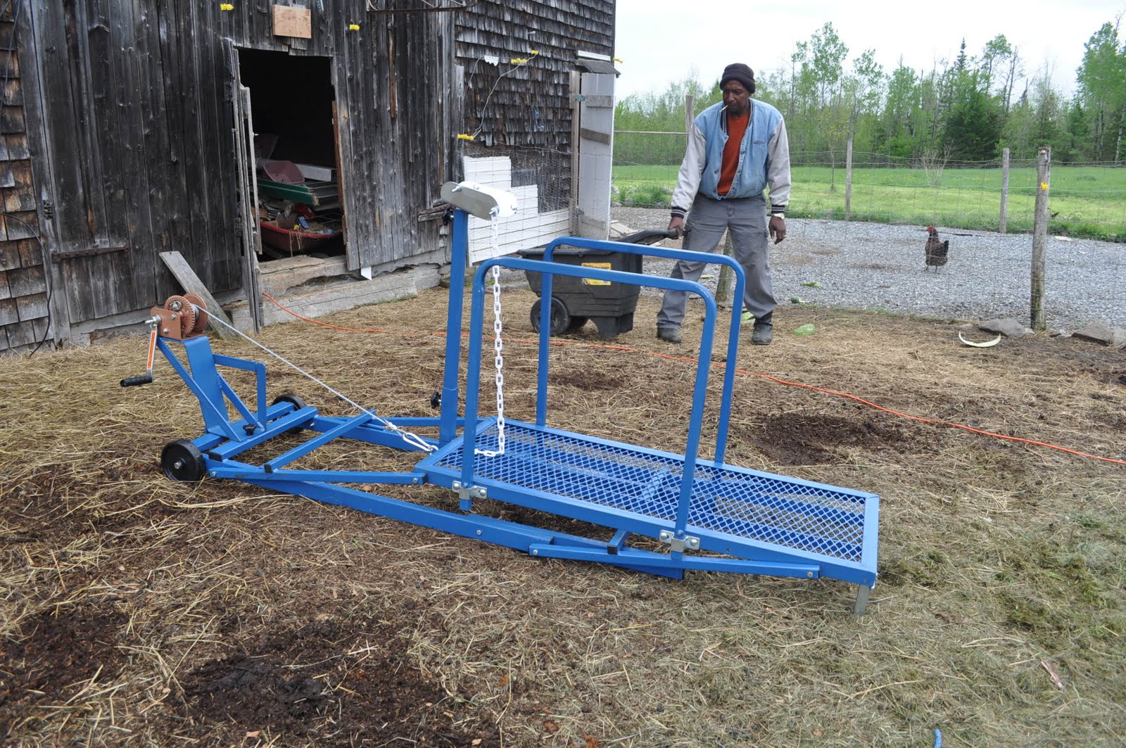 Mainely Ewes Farm Our First Sheep Shearing