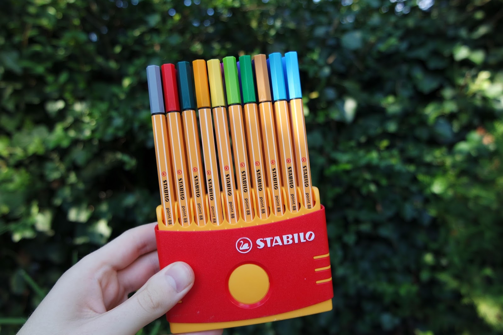 His Wardrobe Tarzina Renk Kat