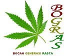 bogras logo