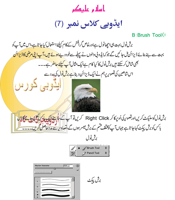 Adobe Photoshop Complete Course In Urdu Class 9 Computing Pakistan