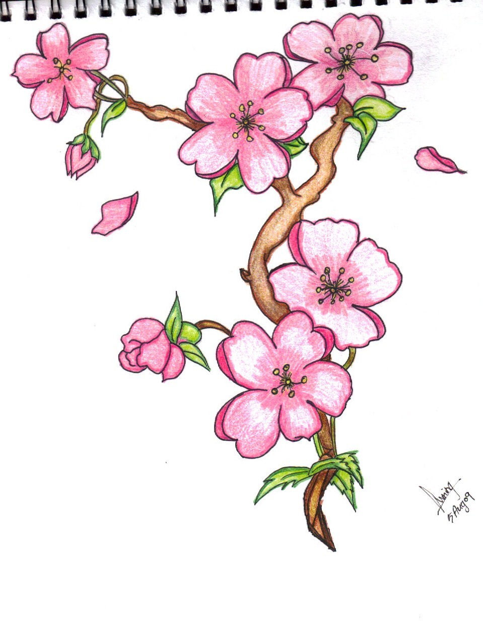 flowers drawing