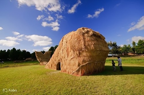 10-Whale-Japanese-Rice-Farmers-Straw-Sculptures-Kagawa-&-Niigata-Prefecture-Kotaku-www-designstack-co