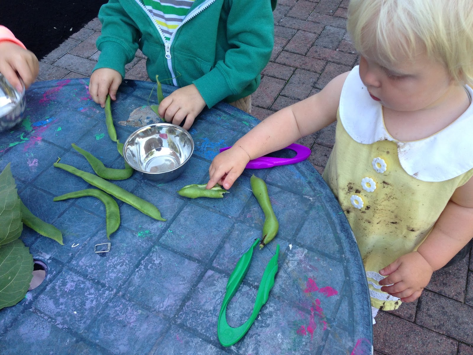 Preschool Play Sunflowers and Seeds