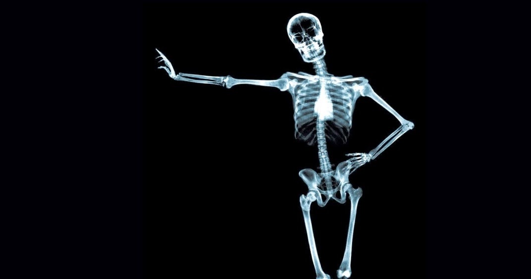 Tejido óseo: características y funciones - Biología