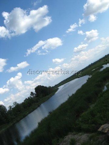 Birdwatching in Serbia