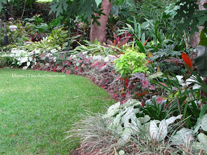 Partial Shade Plants for FL