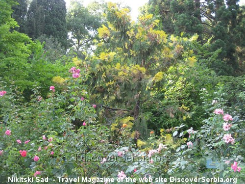 Botanicka Bašta Botanicka Bašta