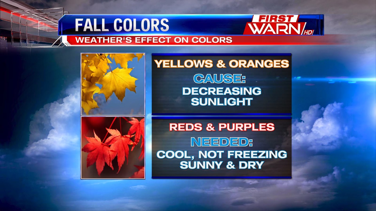 First Warn Weather Team: Weather's Effect On Fall Colors