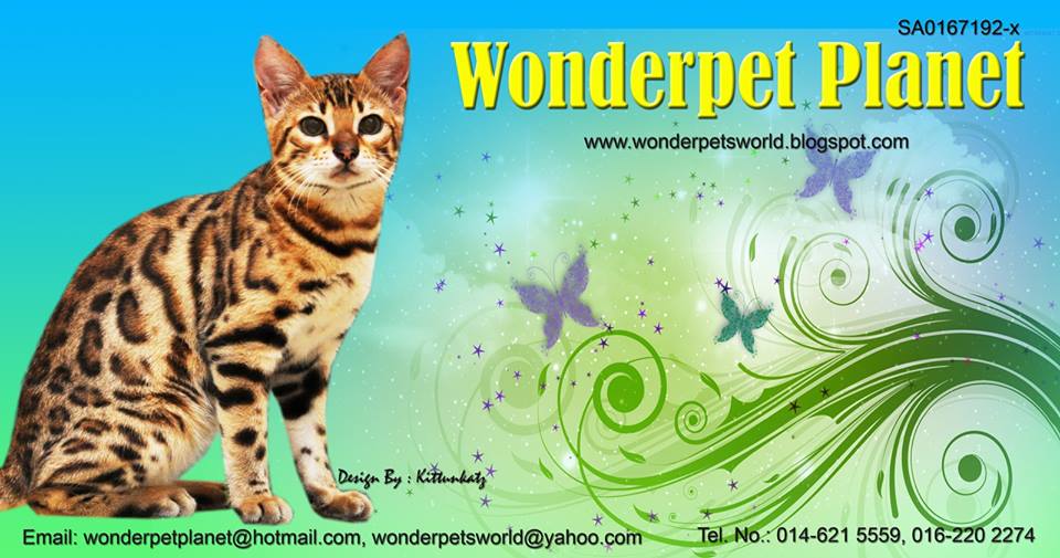 WONDERPET PLANET