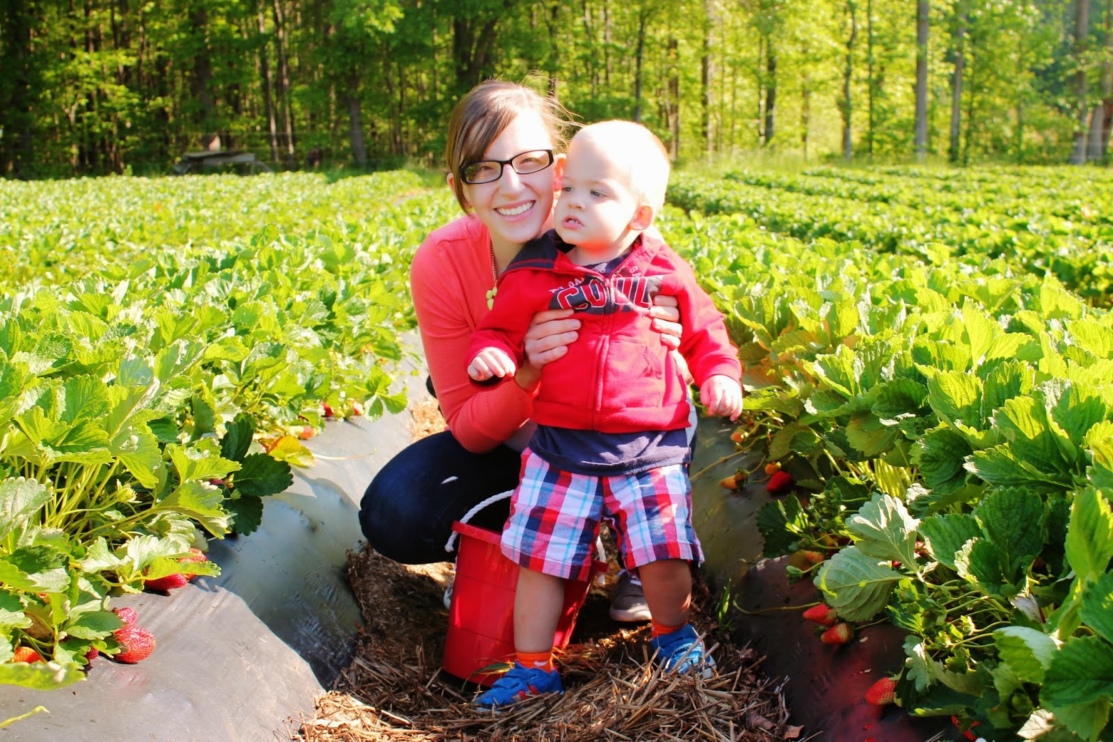 Buckwheat Farm, Apex NC The Happy Flammily