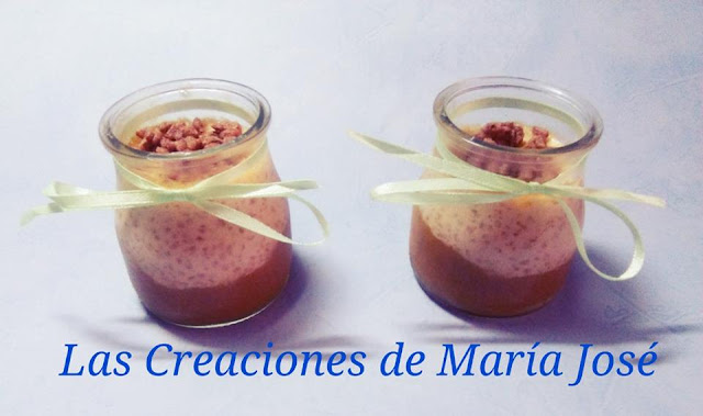 Crema De Tapioca Sin Lactosa Con Cereales Sin Gluten