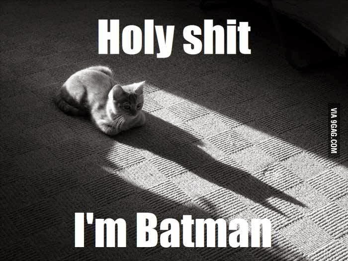 img-holy_****_batcat.jpg