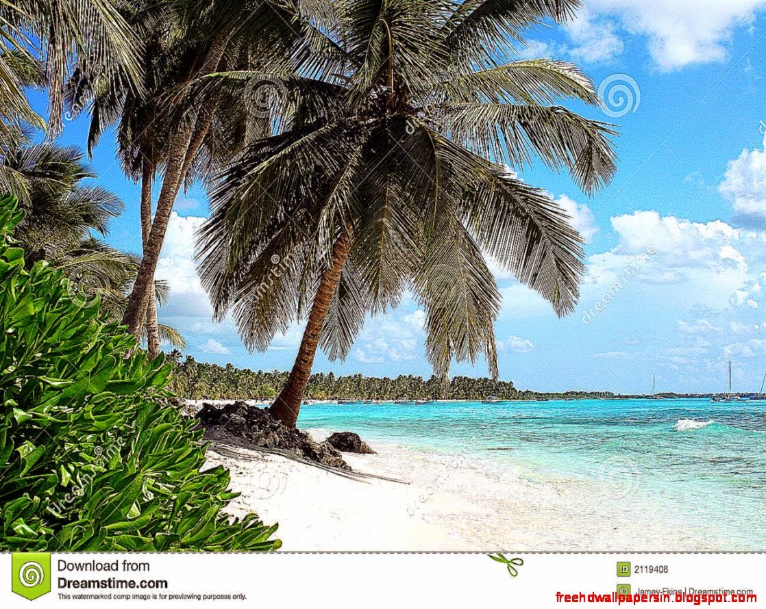 Tropical Beach And Bay Stock Image   Image 1825041 Tropical Beach And Bay Stock Image   Image 1825041