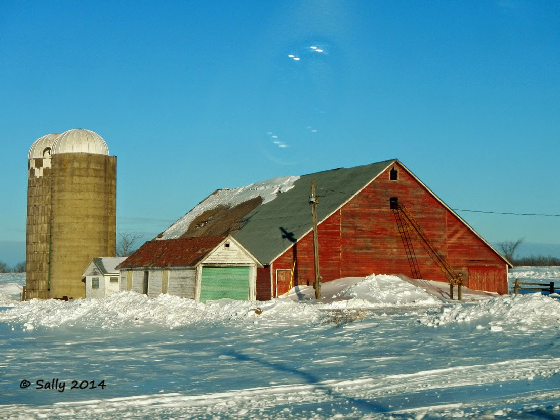 Sally Saw... Monday's Barn Gilman, Minnesota