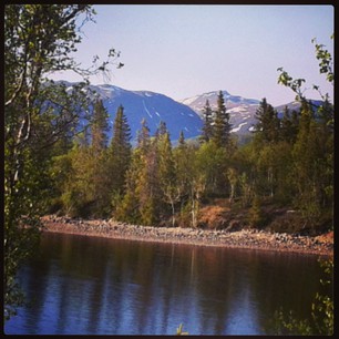 Örtte + skoltavelfärg Sommar