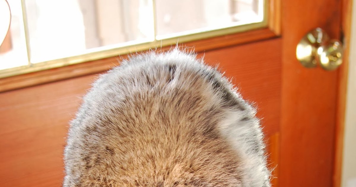 Applegarth Farm Making a Rabbit Fur Hat