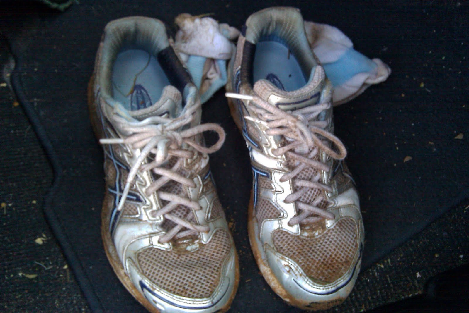 Perspicacity 22 Things I Haven�t Done (A Mama Kat Writing