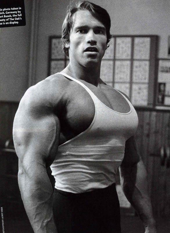 The Man Cave Arnold Schwarzenegger