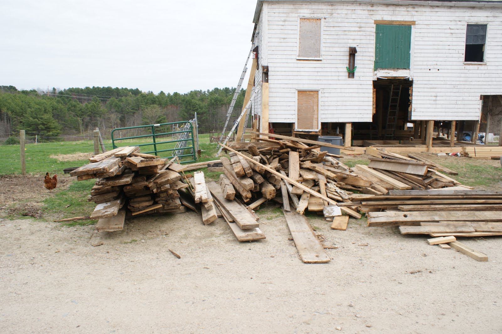 Broadturn Farm Flora*Bliss Opens This SummerA Dooryard Farmstand