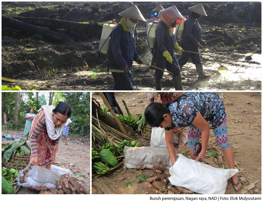 Kiprah Agroforestri Memahami Isu Gender Dalam Pengelolaan