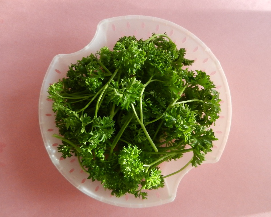 Sizzling Indian Recipes..... Parsley paratha enriched with flaxseed