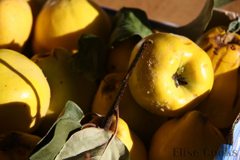 Compote aux pommes, coings et miel Elise Cooks