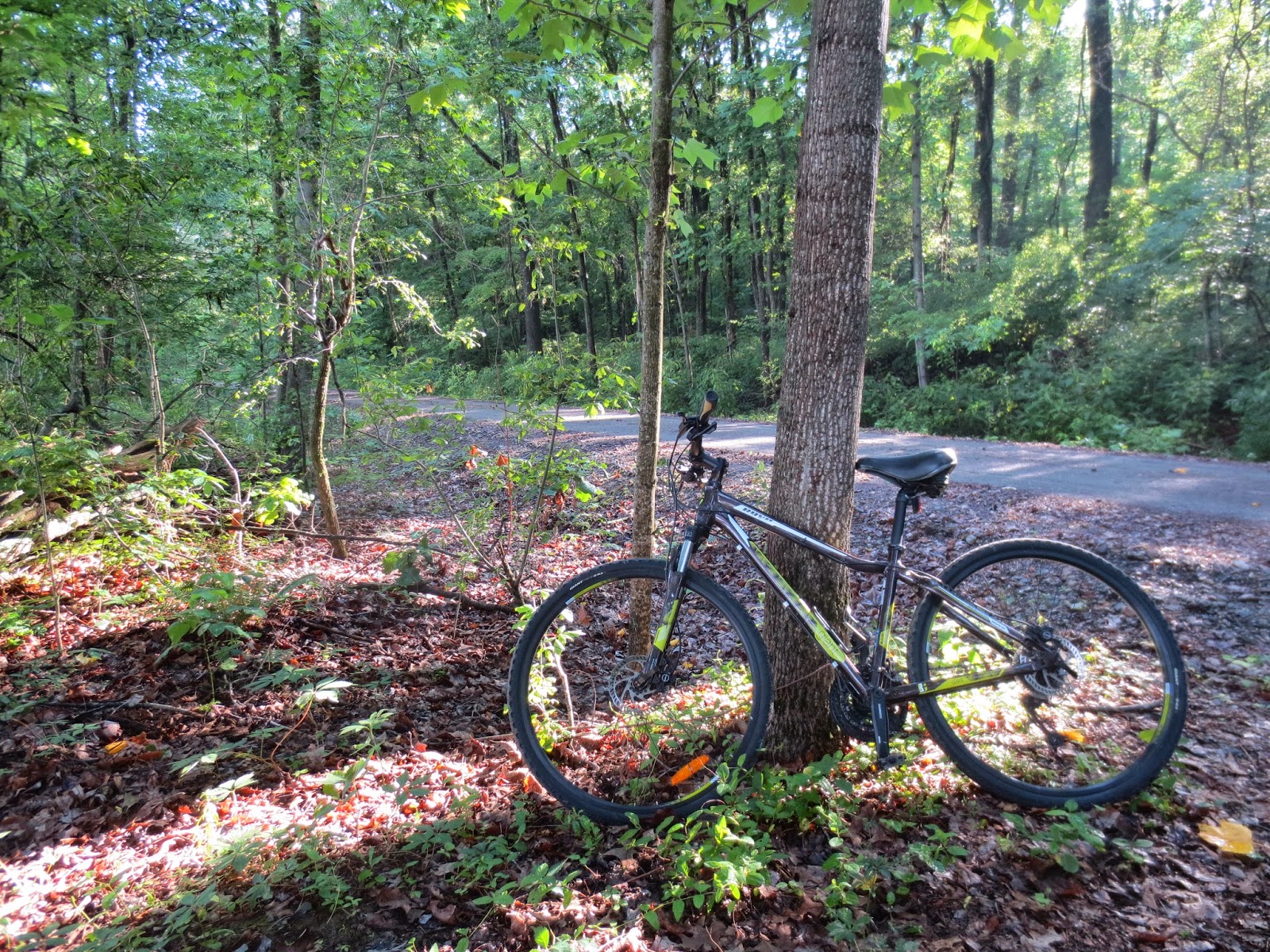 The Travelling Lindfields Cycling the Tunnel Hill State Trail in Illinois