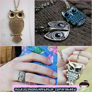 Mydiaryzine Kontroversi Tentang Rantai Burung Hantu