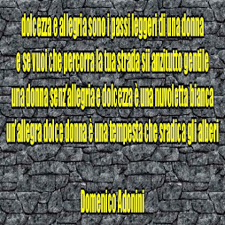 aforismi di domenico adonini