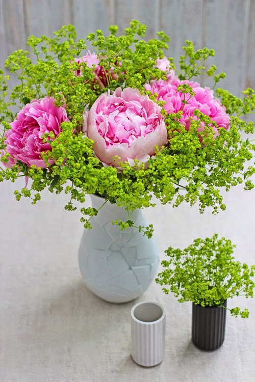 ...OF SPRING AND SUMMER... May 2015