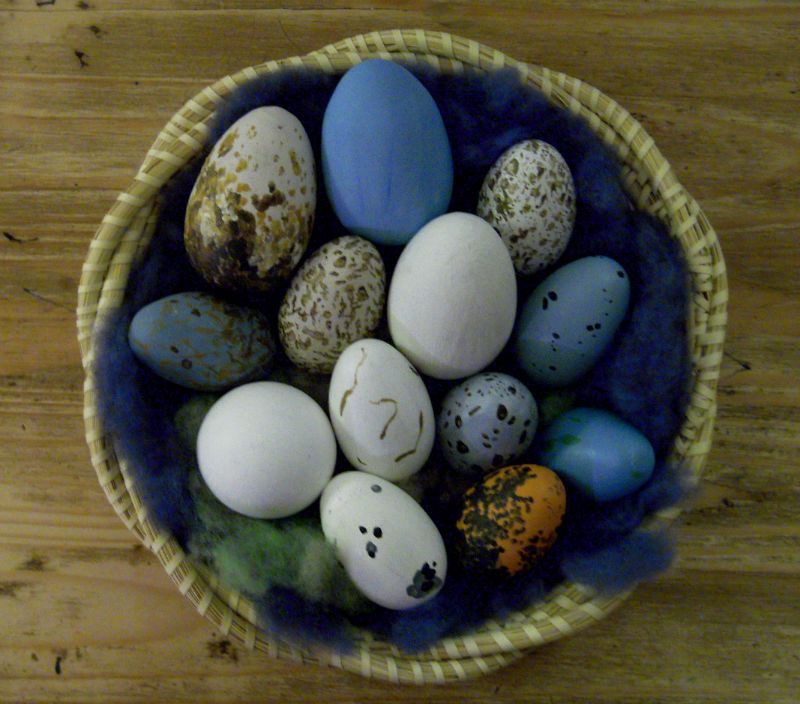 Marvelously Messy Wild Bird Eggs Great Eggspectations