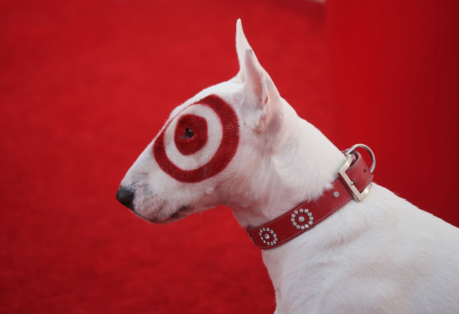 a bit of this & a bit of that [Target stores in Canada]