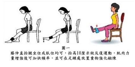 Image result for 股四頭肌訓練