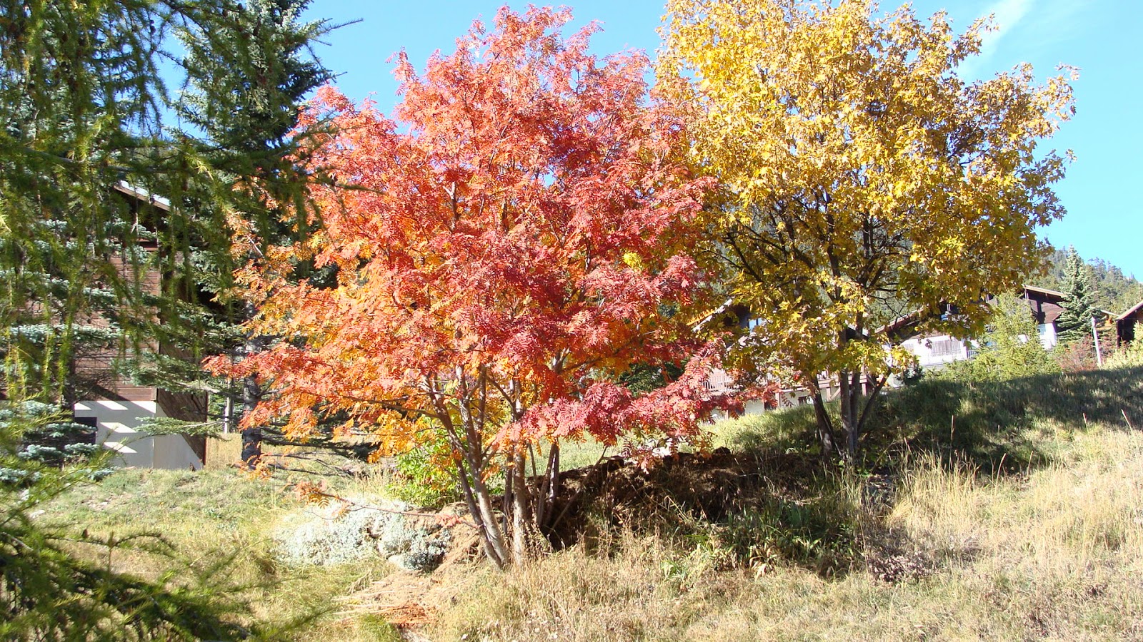 ou trouver des prostituees en allemagne